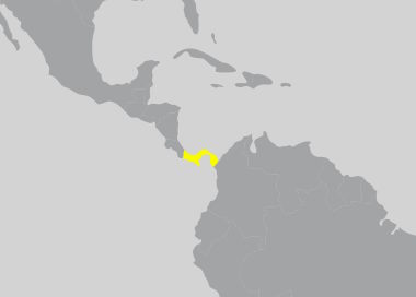Invicta Panamá