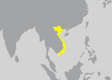 Invicta Watch VIETNAM