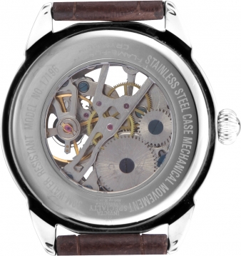 17196 caseback