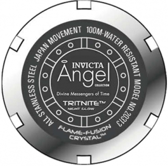 20313 caseback