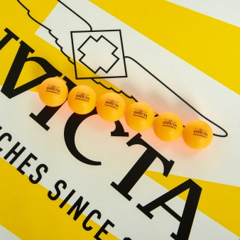 IG0313 additional_catalogshot